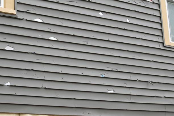 Best Fiber Cement Siding Installation  in Lochmoor Waterway Estates, FL